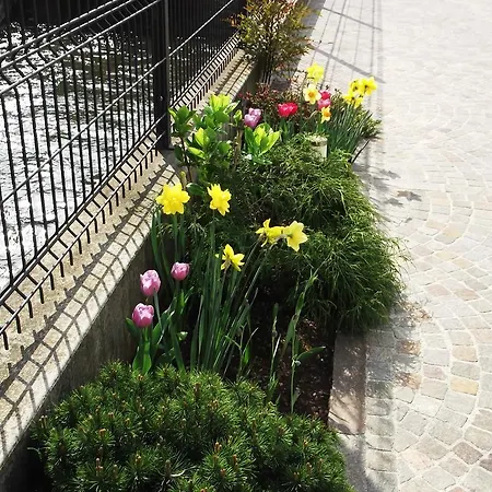 Luca E Paola ベッド・アンド・ブレックファスト チッタデッラ